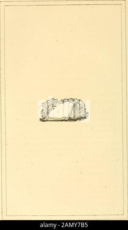 Die normalen, oder, Methoden des Unterrichts der gemeinsamen Zweige, Orthoepie, Orthographie, Grammatik, Geographie, Arithmetik und Elocution .. . l. Innature, es braucht 12.934 Jahre, um den Wechsel zu machen, und 25.868 Jahre, um die Achse backagain in ihre jetzige Position zu bringen. Wenn Sie nun den Arm aus dem Osten startten, wo der Globus in der Position des herbstlichen Äquinoktiums sein wird, Und während ihr den Arm dreht, dreht ihr gleichzeitig die Achse, so dass sie sich nach Osten hinabneigt, ihr habt nur den Arm nach Süden zu tragen, um den Globus wieder in die Position des herbstlichen Äquinoxons zu bringen; d. H. Ein Viertel RE Stockfoto