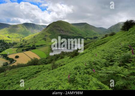 Die Hartsop Valley Fells, Hartsop Village, Kirkstone Pass, Patterdale, Lake District National Park, Cumbria, England Stockfoto