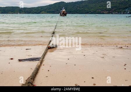 Einem toten Fisch gewaschen an Land an einem Strand in Phi Phi Island. Klimawandel Konzept. Stockfoto