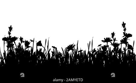 Silhouette von Gras und wilden Blumen Rand auf weißem Hintergrund Stockfoto