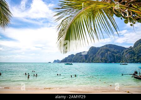 Menschen schwimmen im Andaman Meer vor der Küste von Thailand. Palm Tree bei Ao Tonsai Beach, Phi Phi Island. Selektive konzentrieren. Stockfoto