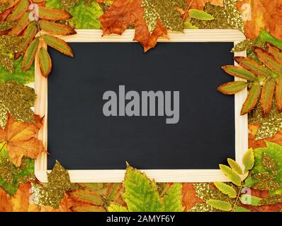 Farbenfroh und Goldener Herbst Blätter mit einer Schule Schwarzes Brett für den Hintergrund. Flach. Ansicht von oben. Stockfoto