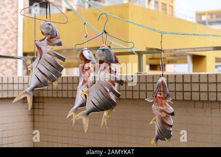 Rohe Fische, getrocknet auf einem Balkon horizontale Komposition Stockfoto