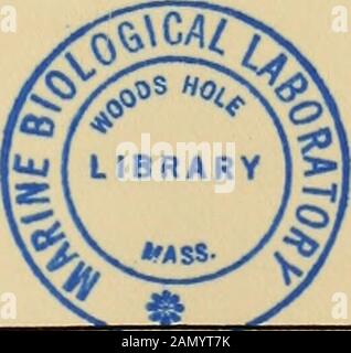 Nova acta Regiae Societatis Scientiarum Upsaliensis . NOVA ACTA REGIAE SOCIETATIS SCIENTIARUM UPSALIENSIS. SERIE! TERTIAE VOL. V. FASCICULUS POSTERIOR.. U P S A L I A E EXCUDIT W. SCHULTZ REG. ACAD. TYPOGRAPHUS.MDCCCLXY. Gedruckt m SCHWEDEN Stockfoto