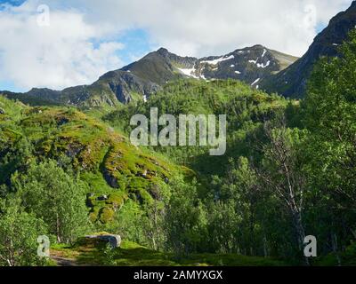 Einen malerischen Blick auf die Berge in den Bergen Sommer Gelände im Norden von Norwegen. Insel Senja, Troms County - Norwegen. Schönheit der Natur Konzept Hintergrund. Stockfoto