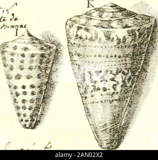 L'histoire naturelle éclaircie dans deux de ses parties principales, la lithologie et la conchyliologie : dont l'une traite des pierres et l'autre des coquillages : ouvrage dans lequel on trouve une méthode & une notice critique des principaux auteurs quel ont sur maéres: Enrichi de figures dessinées d'après nature. UJ Stockfoto