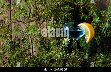 Glas Blue Gin garniert mit zitronenscheibe. Blue Gin und Juniper Äste mit Beeren. Stockfoto