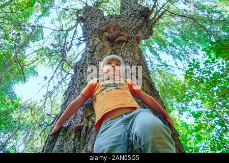 Ein Junge in der Nähe eines großen Baumes, Weitwinkel Foto, Ansicht von unten. Stockfoto