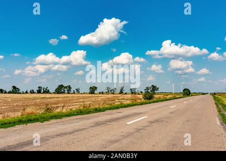 Weibliche Hände halten Dollarscheine in ihren Händen, auf einem gelben Hintergrund. Stockfoto