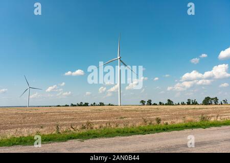 Weibliche Hände halten Dollarscheine in ihren Händen, auf einem gelben Hintergrund. Stockfoto