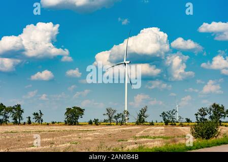 Weibliche Hände halten Dollarscheine in ihren Händen, auf einem gelben Hintergrund. Stockfoto