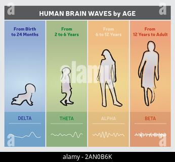 Menschliche Gehirnwellen durch Alter Diagramm Diagramm - Menschen Silhouetten - Englische Sprache - Mehrfarbig Stock Vektor