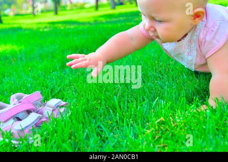 Ein kleines Kind kriecht auf dem grünen Rasen. Stockfoto