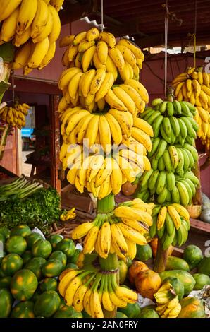 Reife Früchte auf einem lokalen Markt, Sri Lanka. Stockfoto