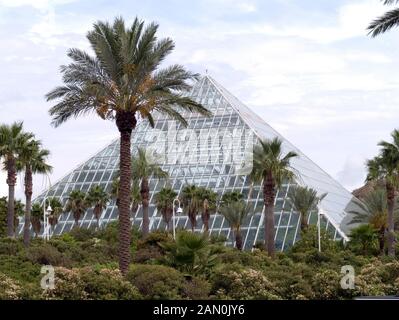 MOODY GARDENS PYRAMIDE GALVESTON TEXAS USA Stockfoto