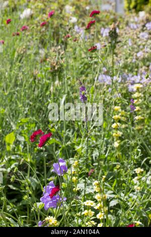 GAINSBOROUGH ES HAUS GARTEN SUDBURY Stockfoto