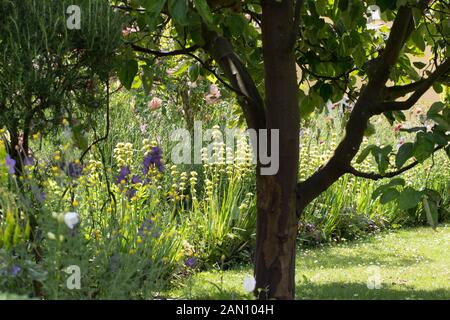 GAINSBOROUGH ES HAUS GARTEN SUDBURY Stockfoto