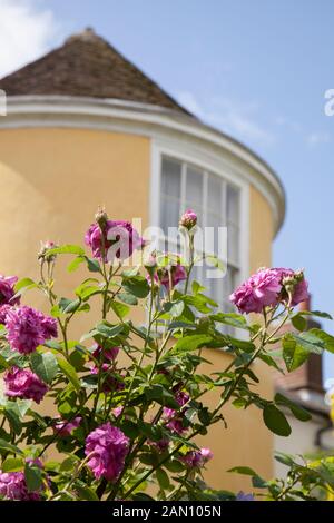 GAINSBOROUGH ES HAUS GARTEN SUDBURY Stockfoto