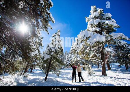 Rodeln und genießen Sie Schnee in Williams, Arizona. Stockfoto