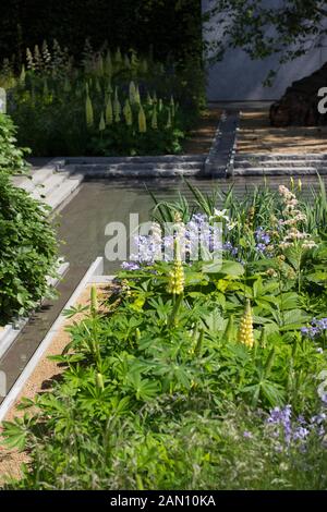 LAURENT-PERRIER GARTEN - RHS CHELSEA DESIGNED BY LUCIANO GIUBBILEI Stockfoto