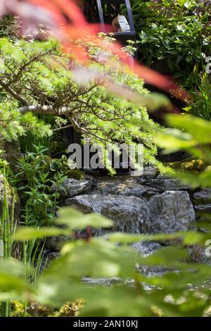 TOGENKYO EIN PARADIES AUF ERDEN - ENTWORFEN VON KAZUYUKI ISHIHARA BESTE HANDWERKER GARTEN - RHS CHELSEA Stockfoto