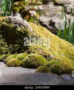 TOGENKYO - EIN PARADIES AUF ERDEN RHS CHELSEA FLOWER SHOW 2014 ISHIARA KAZUYUKI - ISHIARA KAZUYUKI DESIGNLABOR Stockfoto