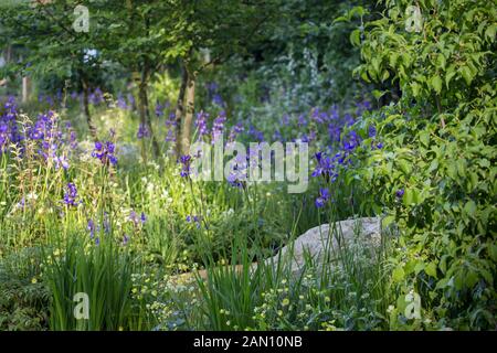 HOMEBASE-GARTEN - ZEIT ZUM NACHDENKEN - DESIGNER ADAM FROST - RHS CHELSEA Stockfoto