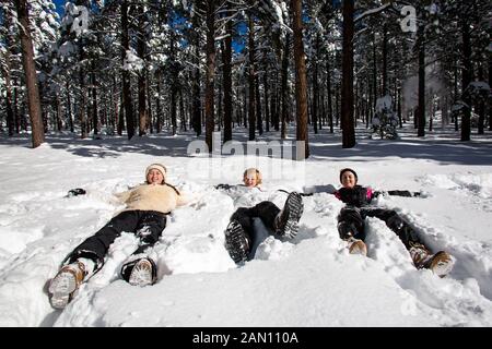 Rodeln und genießen Sie Schnee in Williams, Arizona. Stockfoto
