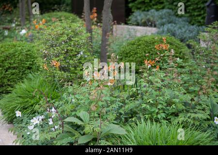 RHS CHELSEA FLOWER SHOW 2013 LAURENT-PERRIER GARTEN DESIGNER ULF NORDFJELL. Stockfoto