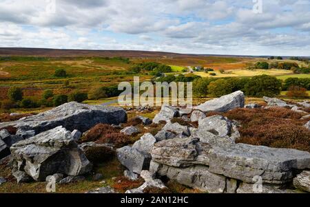 Die North York Moors mit großen Felsen und Heidekraut blühen mit Bäumen und Bauernhaus in der Ferne, umgeben von Feldern. Goathland, Yorkshire, Großbritannien. Stockfoto