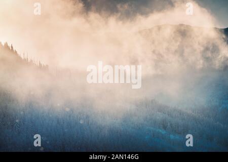 Winterlandschaft, hohe Berge mit Nadelbäumen unter Schnee bedeckt, im Winter Nebel in den gebirgigen Wald, tolles Wetter Stockfoto