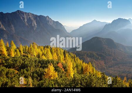 Lärchen im Herbst, Visic Pass, Triglav Nationalpark, Julischen Alpen, Slowenien Stockfoto