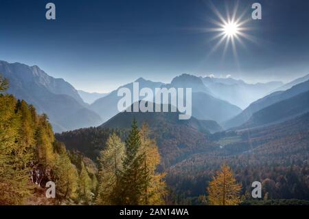 Lärchen im Herbst, Visic Pass, Triglav Nationalpark, Julischen Alpen, Slowenien Stockfoto