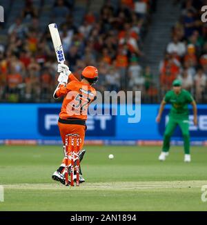 Januar 2020; Optus Stadium, Perth, Western Australia, Australien; Big Bash League Cricket, Perth Scorchers versus Melbourne Stars; Fawad Ahmed von den Perth Scorchersplays Through Midwicket - redaktionelle Verwendung Stockfoto