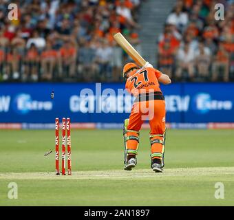 Januar 2020; Optus Stadium, Perth, Western Australia, Australien; Big Bash League Cricket, Perth Scorchers versus Melbourne Stars; Darin Margan von den Perth Scorchers wird gebärt - redaktionelle Verwendung Stockfoto