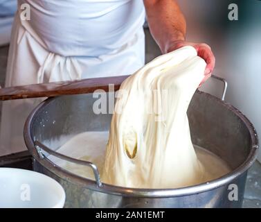 Hausgemachten Käse Hersteller, produziert handgefertigte Mozzarella mit frischen Milch von ihrer Kühe, Schafe in den Morgen. Stockfoto