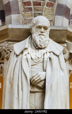 Statue von Charles Darwin, Oxford Natural History Museum Oxford England Großbritannien Stockfoto