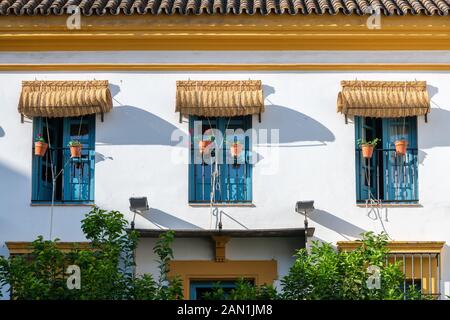 Jalousien rollte über den Fenstern der traditionellen Sevillanischen Architektur der Hospes Las Casas del Rey de Baeza Hotel in Sevilla Stockfoto