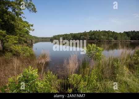 Südcarolina Lowcountry marsh Szenen mit retention Teiche für Überschwemmungen. Stockfoto