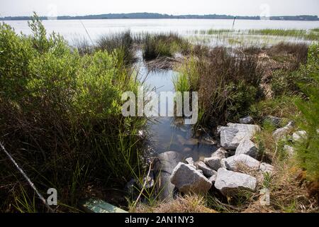 Südcarolina Lowcountry marsh Szenen mit retention Teiche für Überschwemmungen. Stockfoto