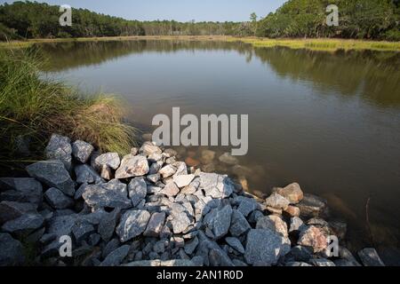 Südcarolina Lowcountry marsh Szenen mit retention Teiche für Überschwemmungen. Stockfoto