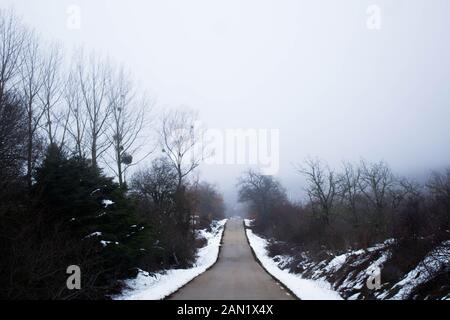 Eine leere Straße mit Schnee an den Rändern und umliegenden Bäumen Stockfoto