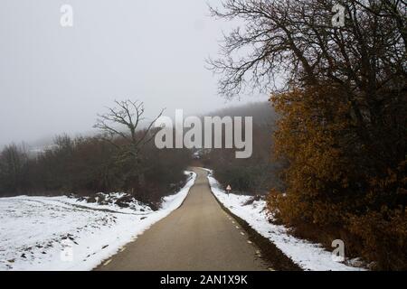 Eine leere Straße mit Schnee an den Rändern und umliegenden Bäumen Stockfoto