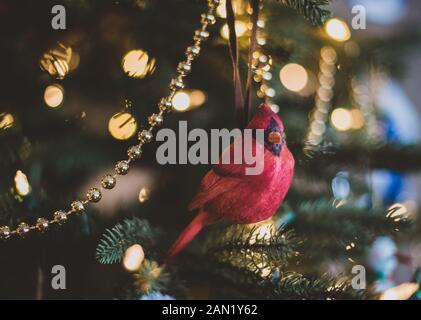 Nahaufnahme eines kardinalen Vogelornaments auf einem Weihnachtsbaum. Stockfoto