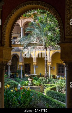 Der Palmenhof im andalusischen Patio des Palmenhofs Palacio de las Dueñas ist durch einen kunstvoll dekorierten Mudéjar-Bogen zu sehen Stockfoto
