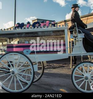 East Dulwich, South London, Großbritannien. Januar 2020. Fans und Freunde säumten die Straße am Eingang des Dulwich Hamlet Football Club, um Mishi Morath, dem viel beachteten Dulwich Hamlet Fan, ihre Achtung zu erweisen, da ihn sein von Pferden gezogener Trauerkortege zum letzten Mal auf den Champion Hill Ground brachte. Credit: David Rowe/Alamy Live News Stockfoto