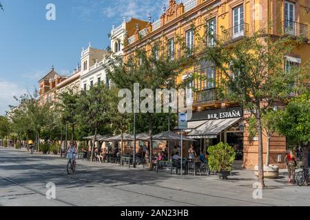 Touristen und Einheimische genießen den Schatten der starken Nachmittagssonne in der von Bäumen gesäumten Calle San Fernando, Sevilla Stockfoto