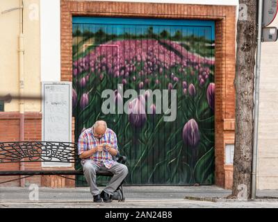 Ein alter Mann sitzt auf einer Bank auf der Plaza San Juan de la Palma und untersucht sorgfältig einen Kaufbeleg, wobei hinter ihm ein Feld lila Tulpen gemalt wurde Stockfoto