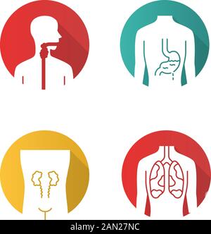 Kranke menschliche Organe flaches Design lange Schatten Glyphe Ikonen gesetzt. Ungesunde Kehle und Magen. Wunde Nieren und Lungen. Kranke innere Körperteile. Vektor silho Stock Vektor