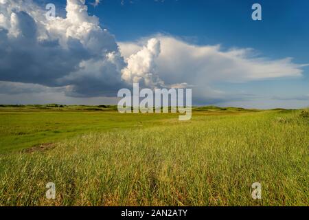 Tief landet am Strand entlang, der zu den Sanddünen entlang der Ufer der ländlichen Prince Edward Island, Kanada führt. Stockfoto